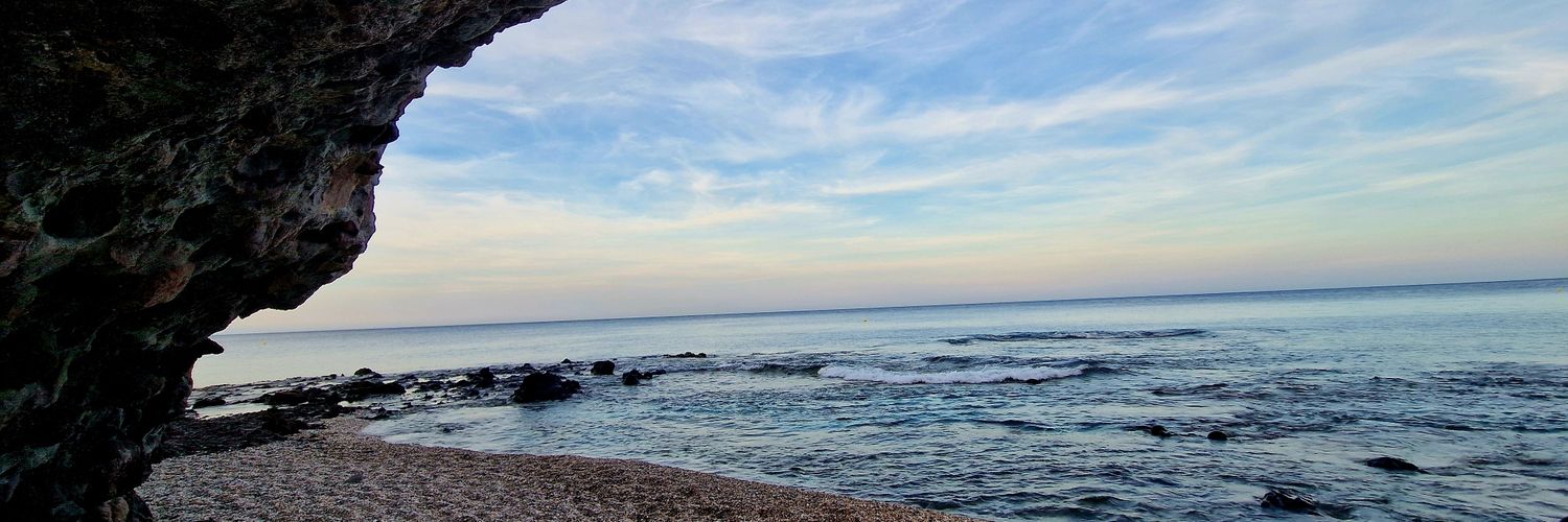 Dangeromerta's profile banner image