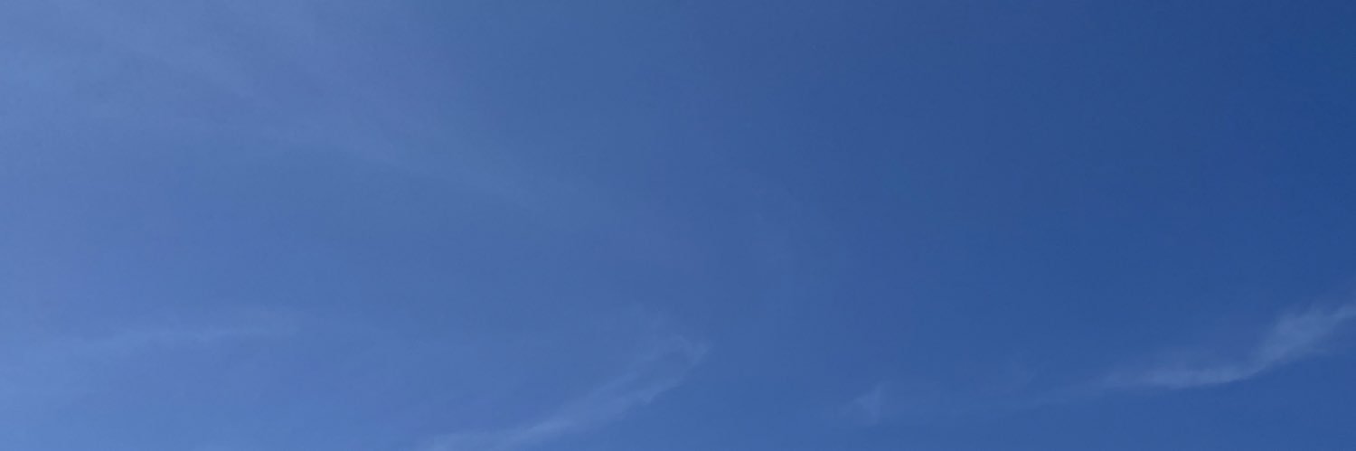 dniksr's profile banner image