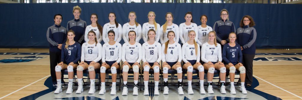 cougars_wvb's profile banner image