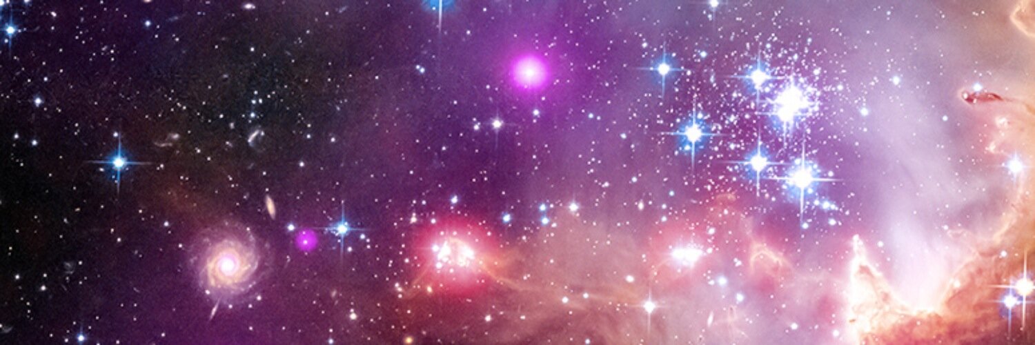 williamvincek's profile banner image