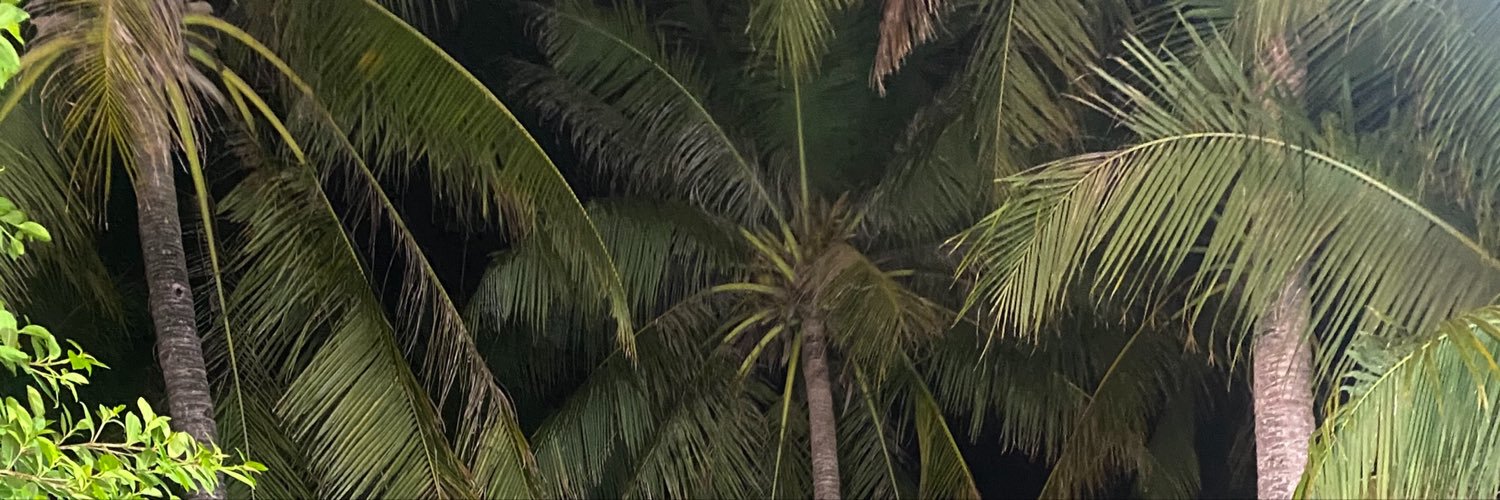 angelicamaaae's profile banner image