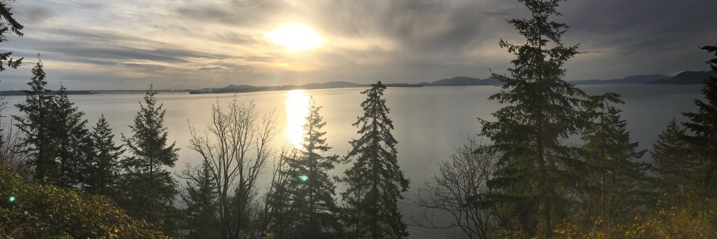 selingulgoz's profile banner image