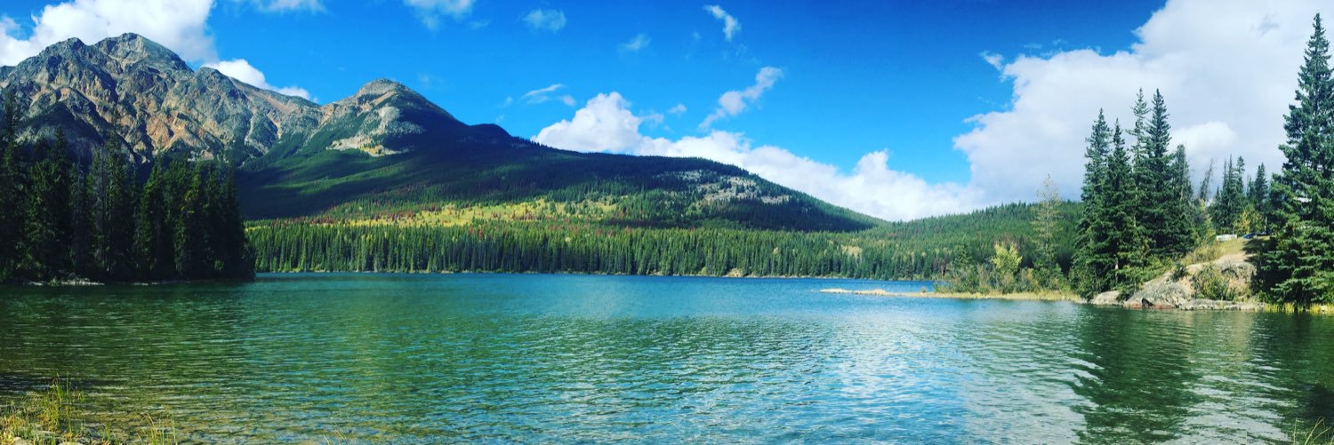 TomCarney1's profile banner image