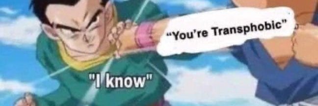 ElToxicAvenger banner