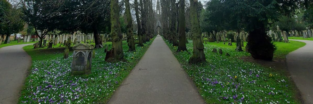 maysutton2011's profile banner image