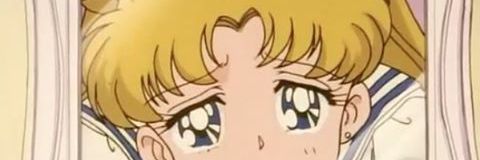SunflowerPope's profile banner image