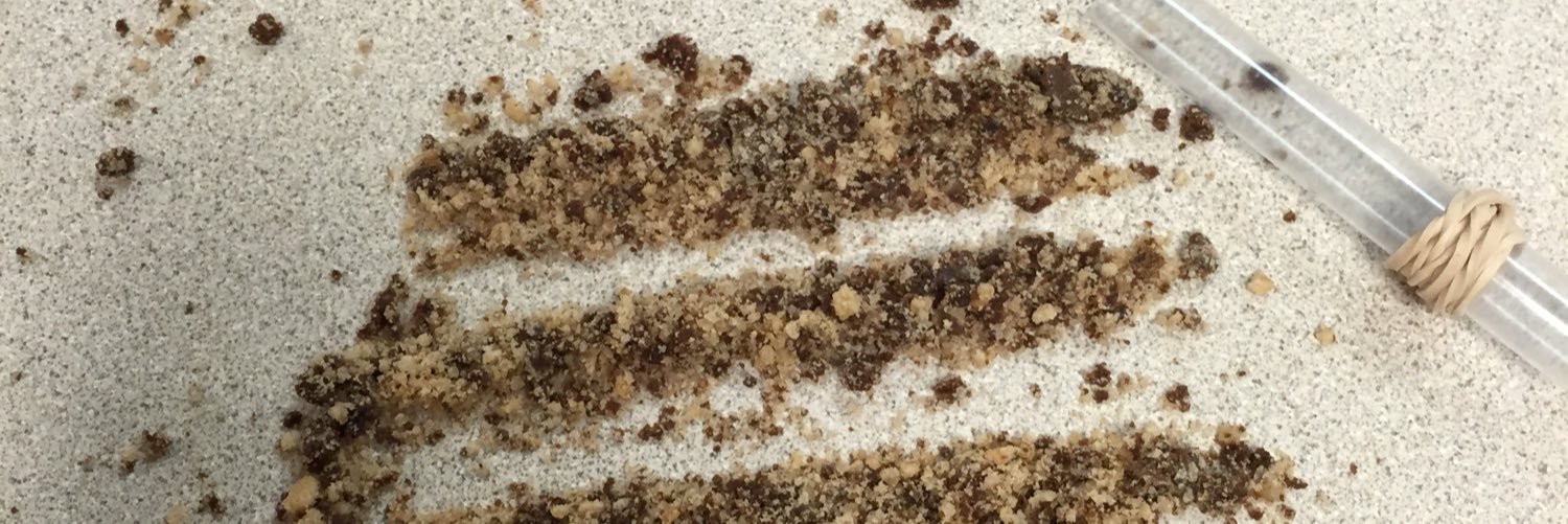 CrownMeBrah's profile banner image