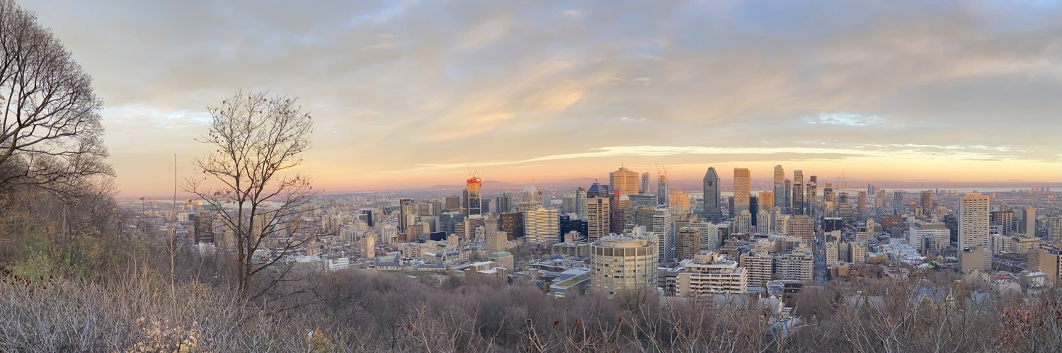 Matt Morrison banner