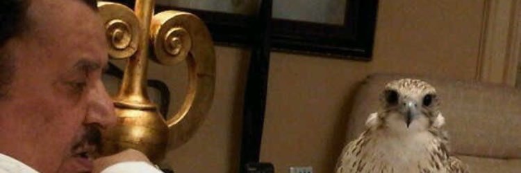 ﮼سلطان،الساطي، banner