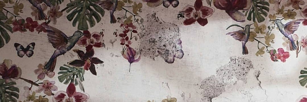 o-o banner