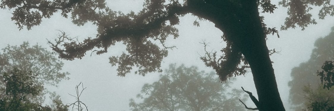 vaiky__'s profile banner image