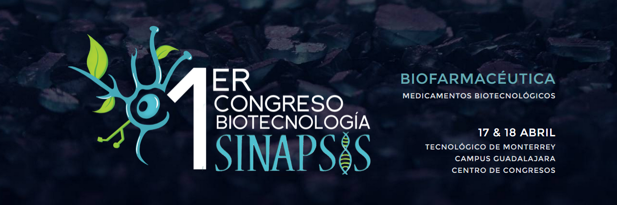 SinapsisIBT's profile banner image