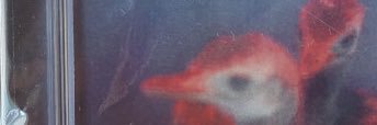 bleachthatpeach's profile banner image