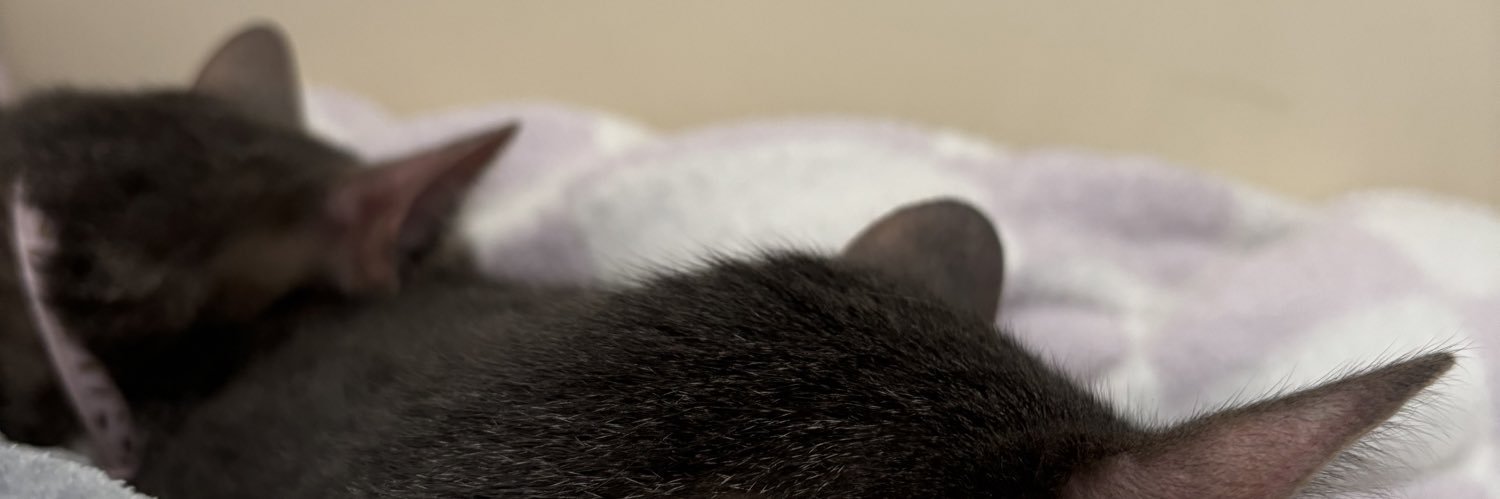 robbiejoeee's profile banner image