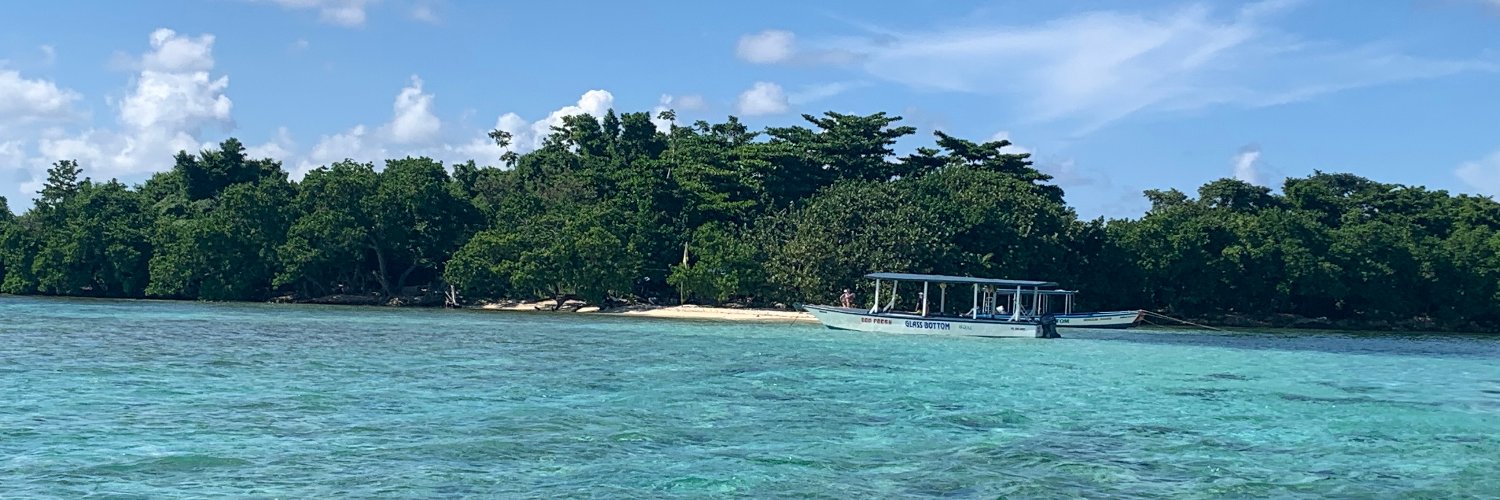 Carmen Mora-Adkins banner