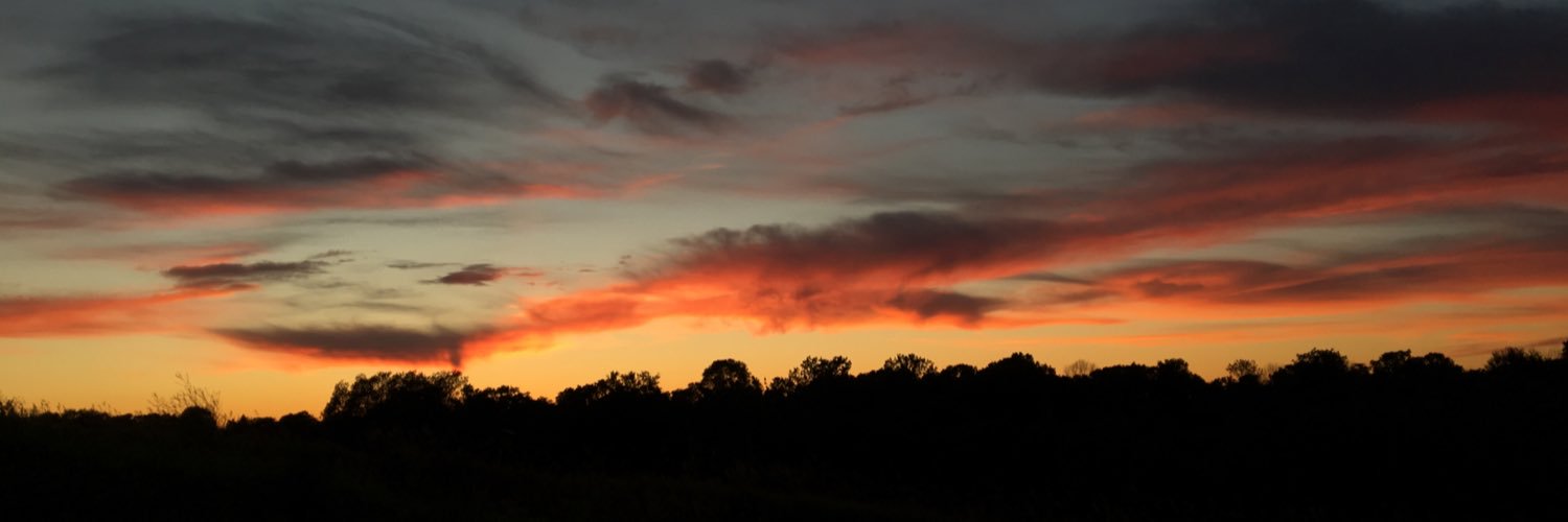 Morph banner