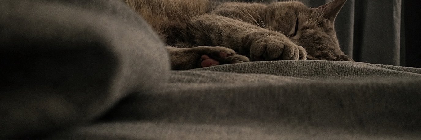plainead's profile banner image