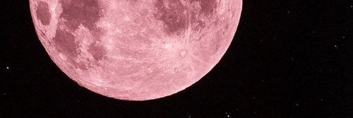 𝑀𝑖𝑙𝑘𝑦🍼✨ ℬ. 𝓈𝒸𝒶𝓃𝒹𝒾𝒶𝒸𝓊𝓈 banner