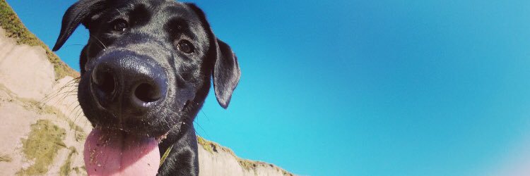 aimeee__rose's profile banner image