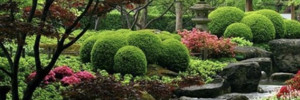 t_x1988's profile banner image