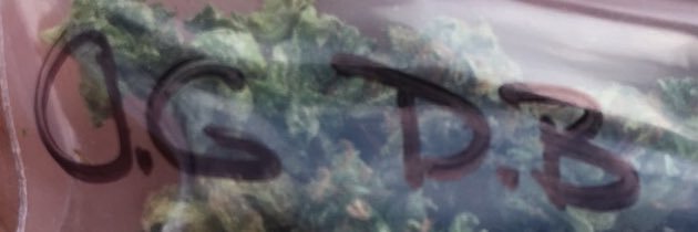 AlyssaJudith87's profile banner image