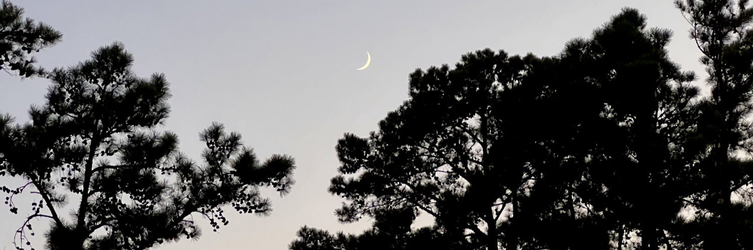 _sav_cottrell's profile banner image