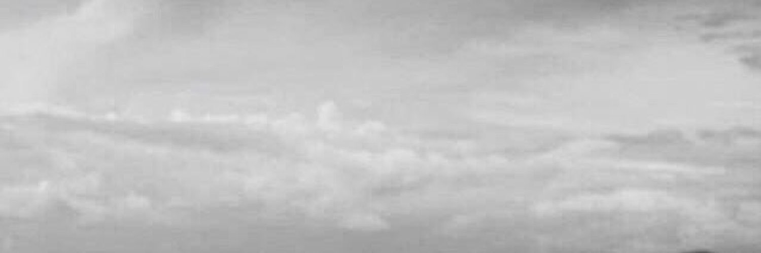 zeuroo's profile banner image