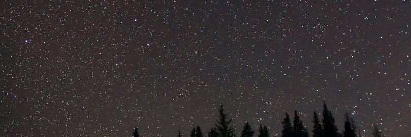GreyVonSnake's profile banner image