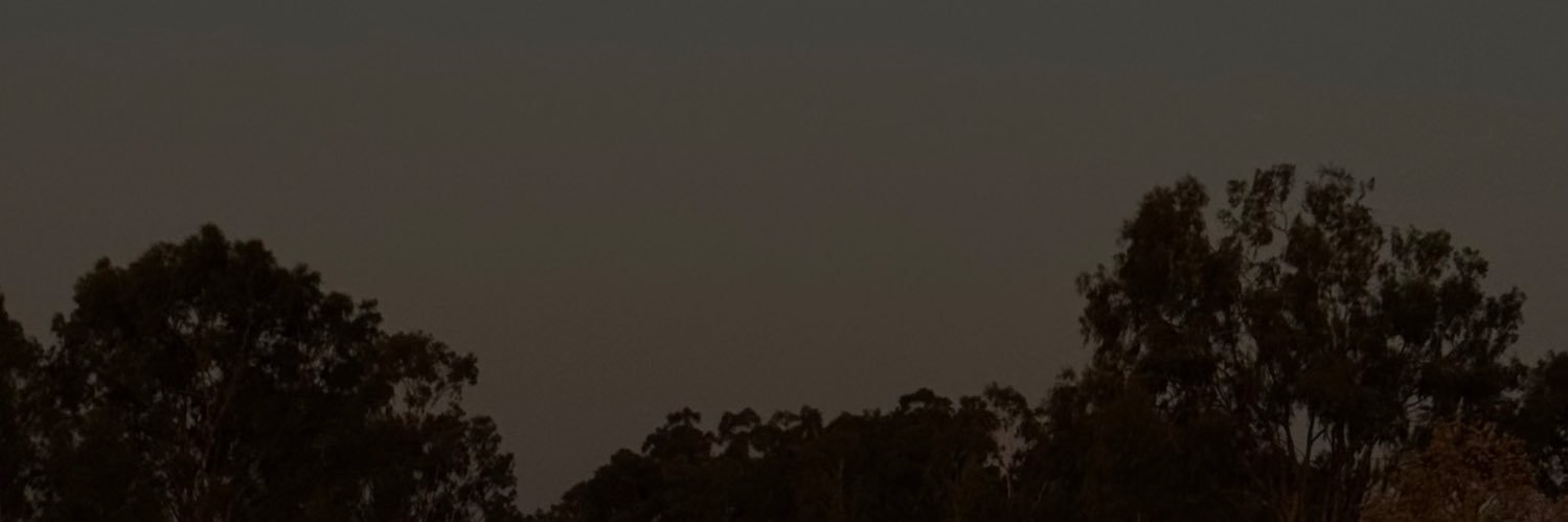 bibbiannca's profile banner image