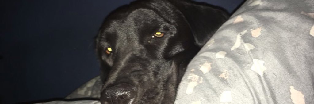 Jon3x_'s profile banner image