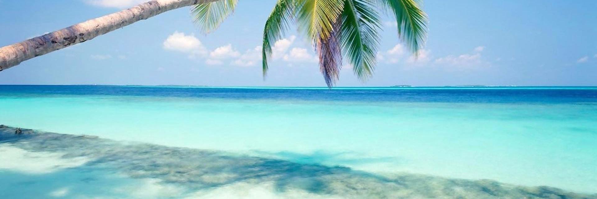 allaboutcancun's profile banner image