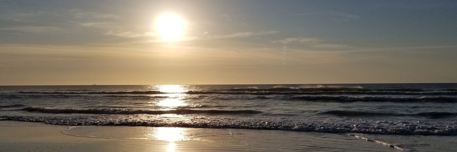 frankiebits's profile banner image