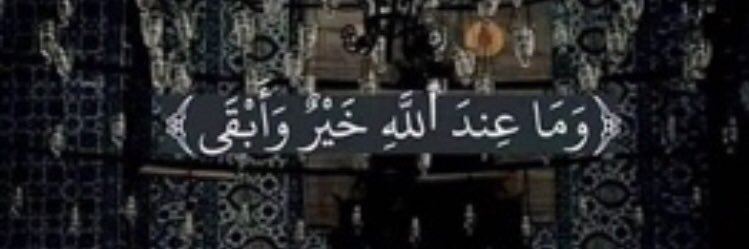 محمد معيّان banner