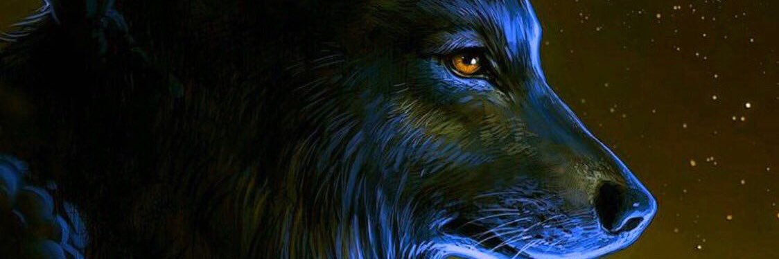 أ:خالد الحربي banner