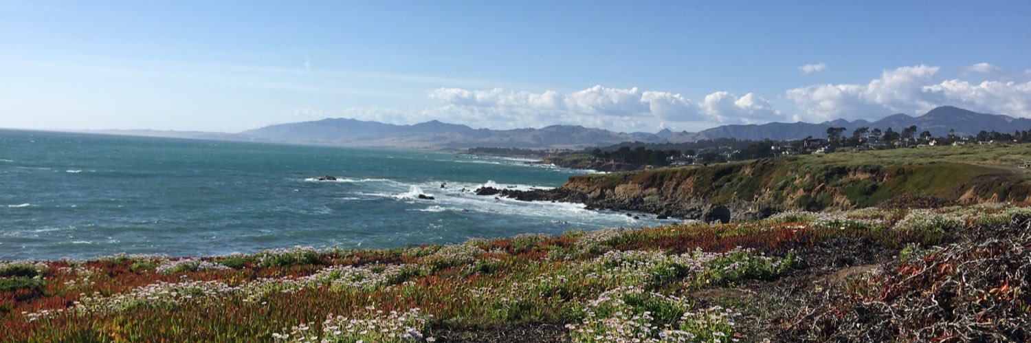 🇺🇸🌻Tina🌻🇺🇦 banner