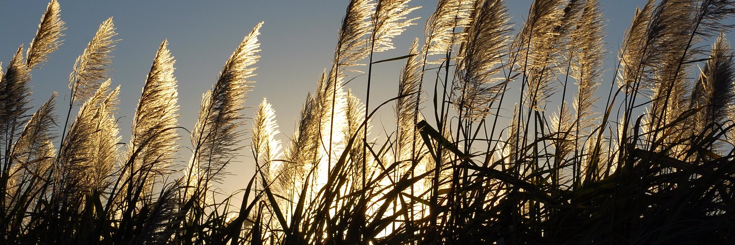CathyWilson123's profile banner image