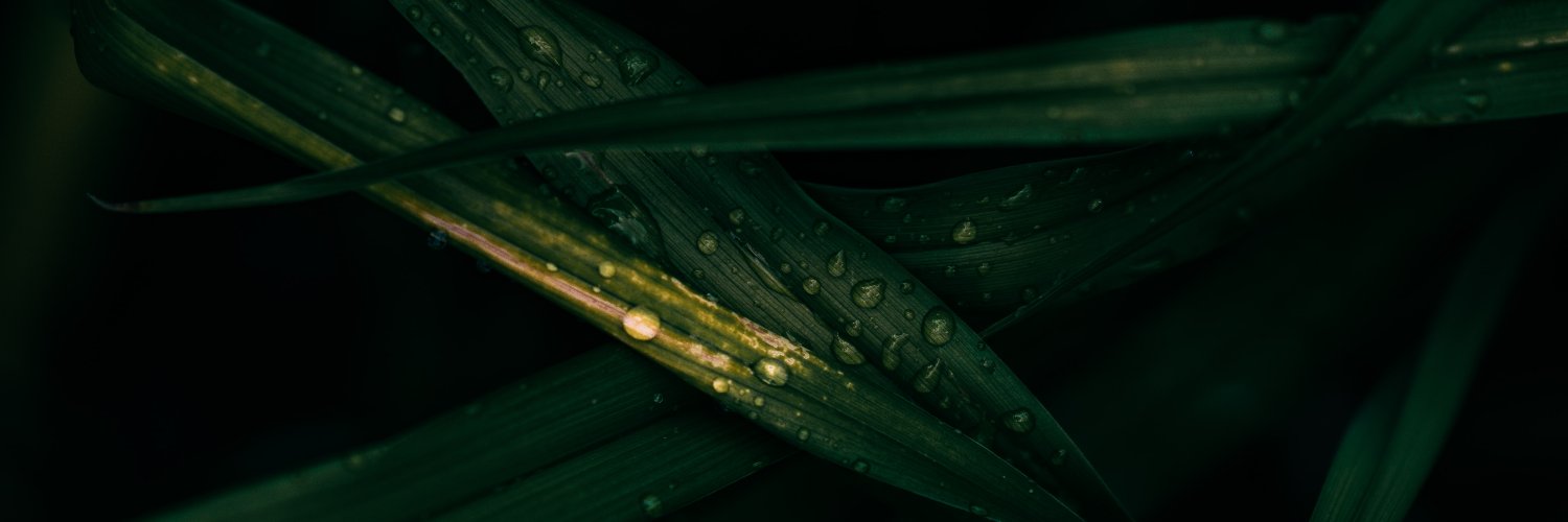 Xef199221's profile banner image
