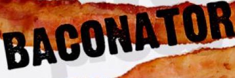 baconatorsnerf's profile banner image