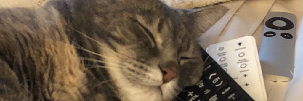 elmcharron's profile banner image