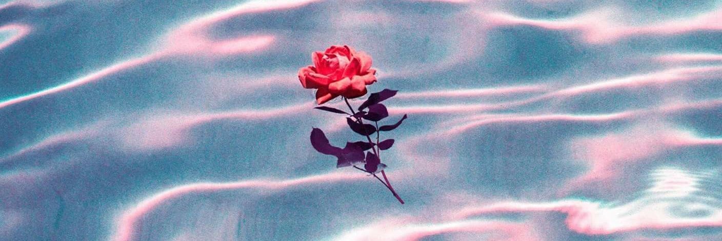 wayneswirled_'s profile banner image