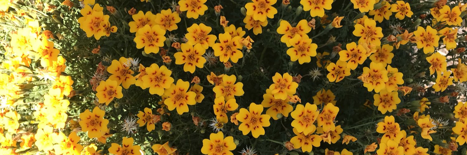 Fic152's profile banner image