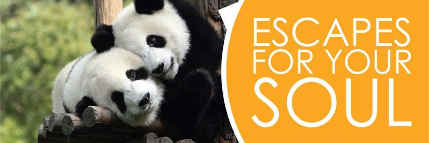 GoVoluntouring banner