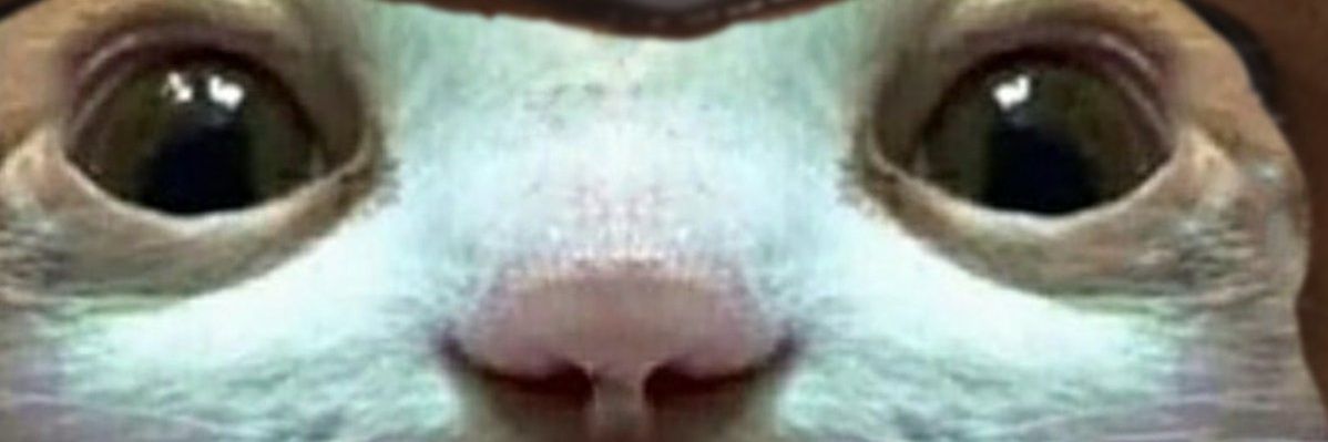 widney_samelia's profile banner image