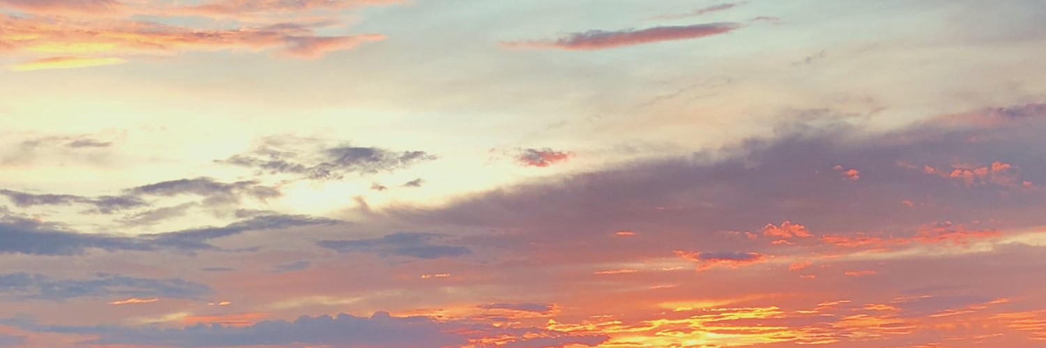 vdllevine's profile banner image