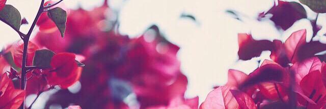 neda_kh's profile banner image