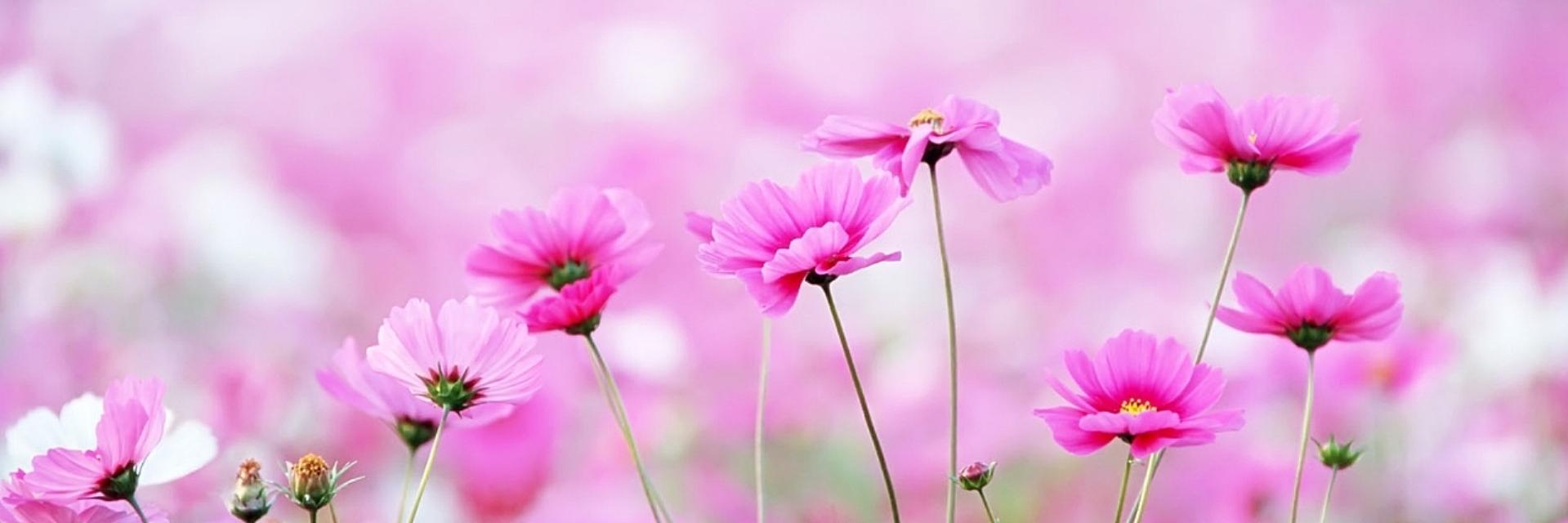 sandy67s's profile banner image