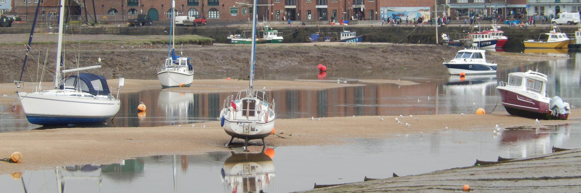 Tamara Backhouse banner