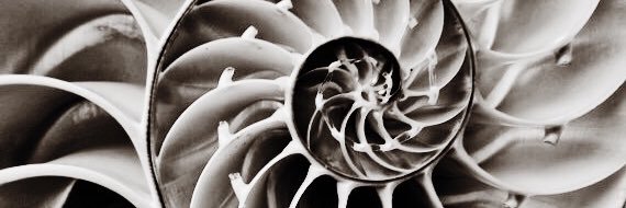 Nautilus_plus_'s profile banner image