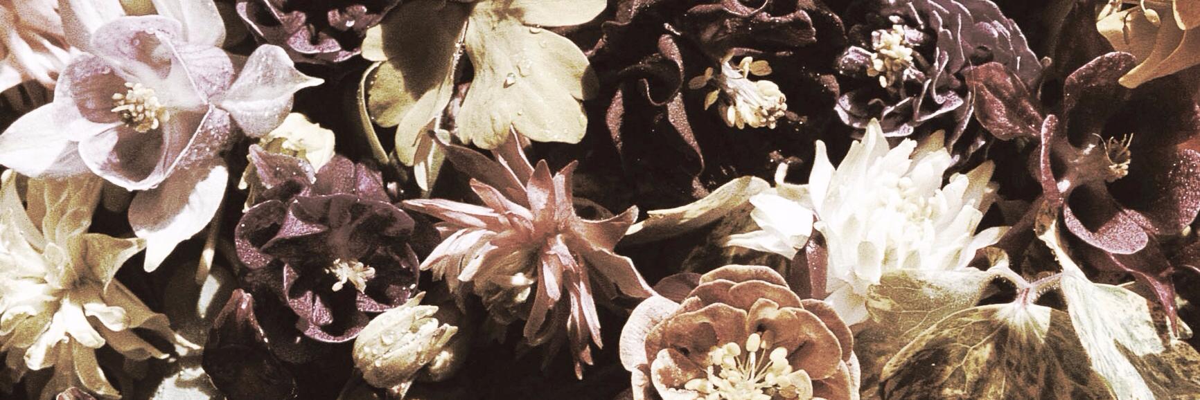 ForeverMusicOff's profile banner image