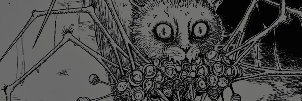 LapizTheRelic's profile banner image
